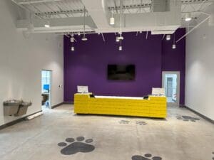 Image of Pet Suites in Valrico, FL after construction.