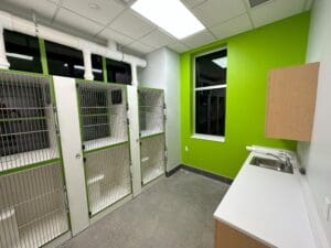 Image of Pet Suites in Valrico, FL after construction.