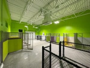 Image of Pet Suites in Valrico, FL after construction.